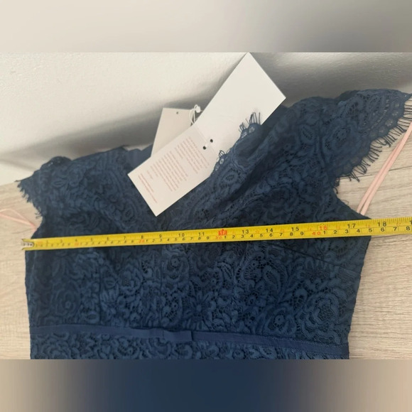 Gal Meets Glam "The Ginger" Rosebud Lace Sheath Dress Flirty Romantic NWT Sz 12 - Picture 7 of 9